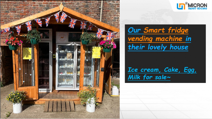 Σύστημα ψύξης ψυκτήρων μηχανών πώλησης παγωτού με τον αναγνώστη καρτών οθόνης αφής στο UK