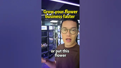 Γεια σας ιδιοκτήτες ανθοπωλείων έχουμε λύση για να ενισχύσει την επιχείρηση λουλουδιών σας, φρέσκα ανθοπωλεία μηχανή