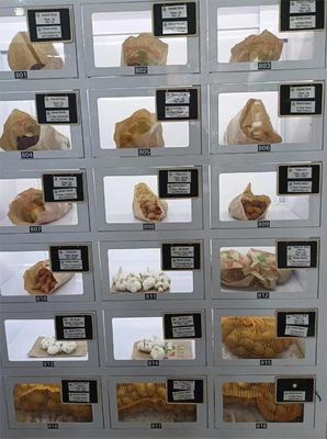 40 ντουλάπια χωρητικότητα ντουλάπι μηχανή με υγιεινή σχεδίαση και Android 11 λειτουργικό σύστημα